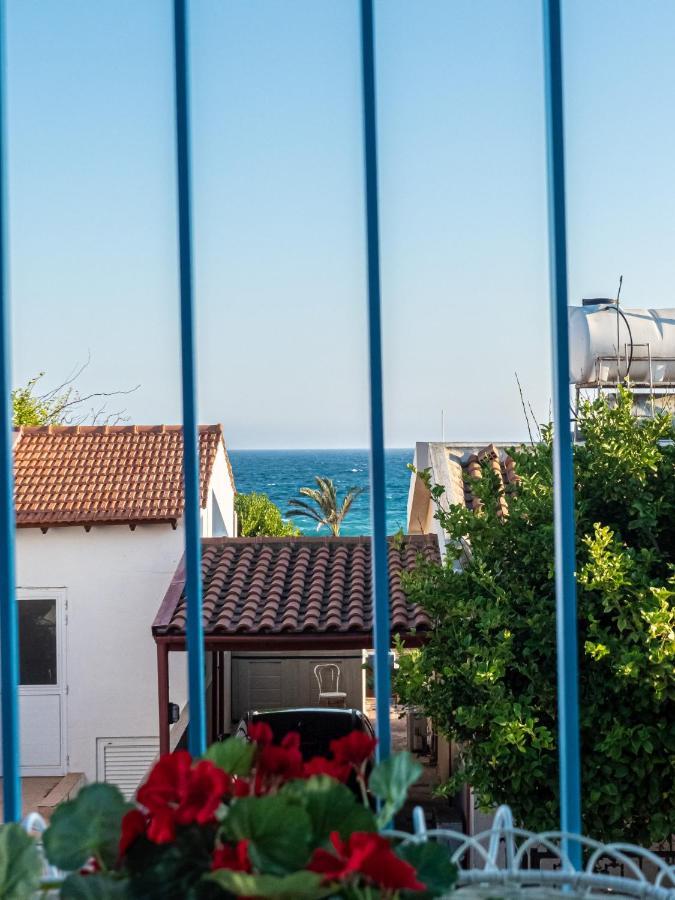 Greek Island Style 2 Bedroom Villa With Pool Next To The Sea لارنكا المظهر الخارجي الصورة