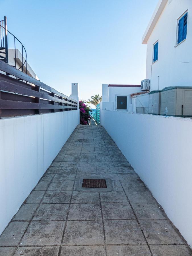 Greek Island Style 2 Bedroom Villa With Pool Next To The Sea لارنكا المظهر الخارجي الصورة